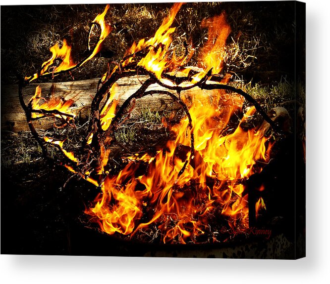 Fire Acrylic Print featuring the photograph Fire Fairies by Susan Kinney