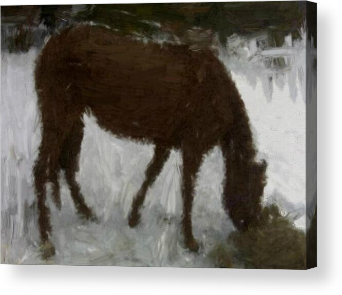 House Acrylic Print featuring the painting Flicka by Bruce Nutting