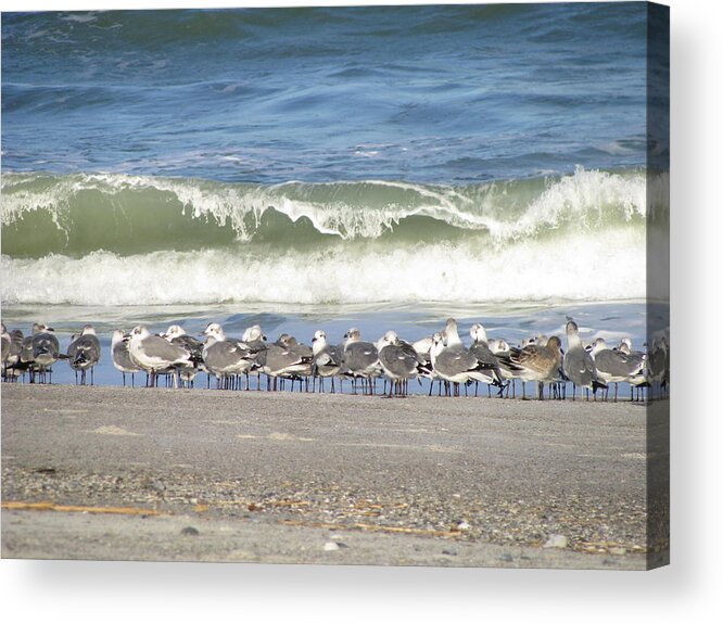 Landscape Acrylic Print featuring the photograph Flock and Wave by Ellen Meakin