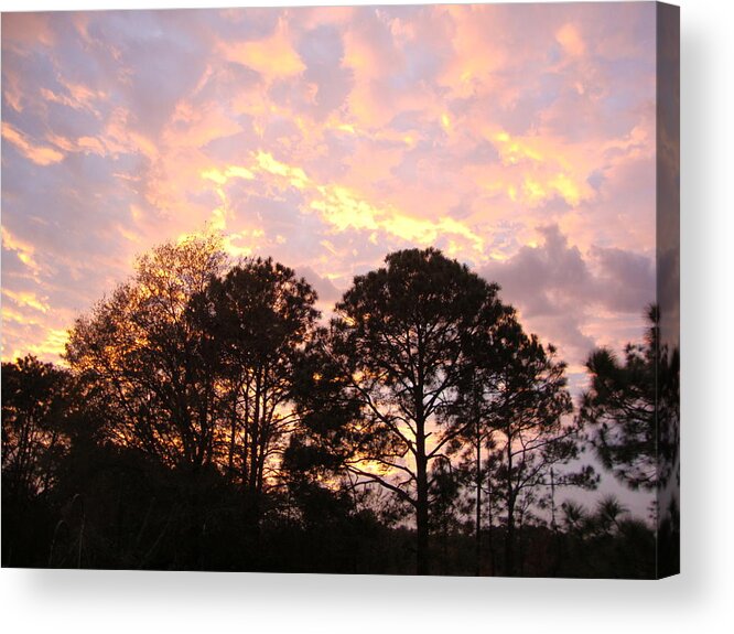 Skies Acrylic Print featuring the photograph Florida Sunset by Veronica Rickard