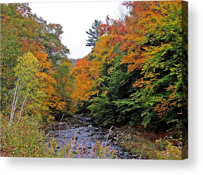 River Acrylic Print featuring the photograph Flowing Into October by MTBobbins Photography