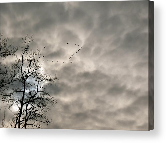 Grey Sky Acrylic Print featuring the photograph Fly By by Azthet Photography