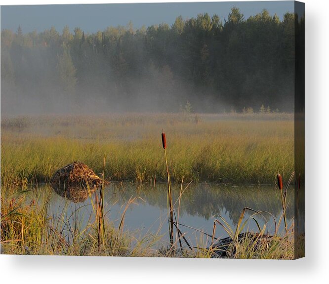 Eagle River Acrylic Print featuring the photograph Fog Over Wild Rice by Dale Kauzlaric