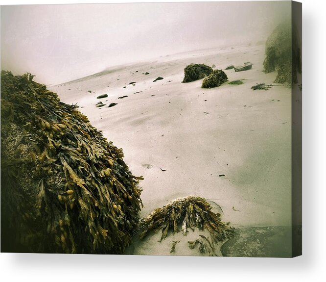 Fog Acrylic Print featuring the photograph Foggy shore by Olivier Calas
