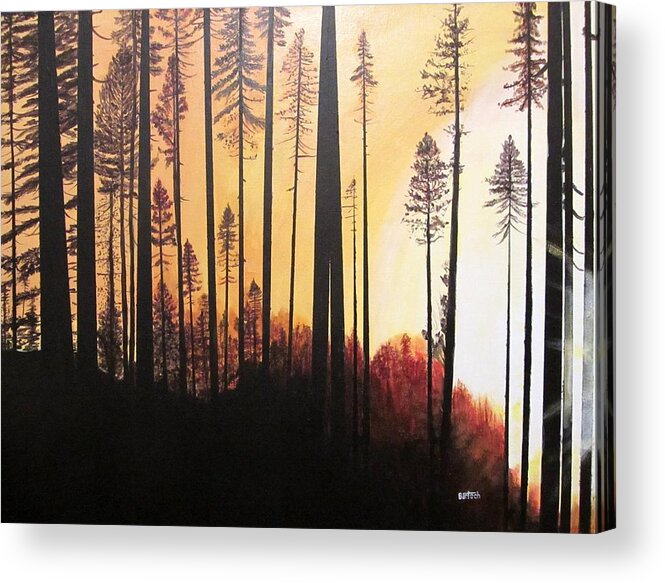 Forest Acrylic Print featuring the painting Forest Sunrise by David Bartsch