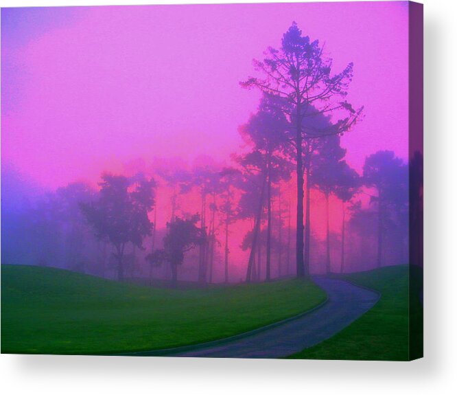 Forest Acrylic Print featuring the photograph Forest Sunrise by Derek Dean