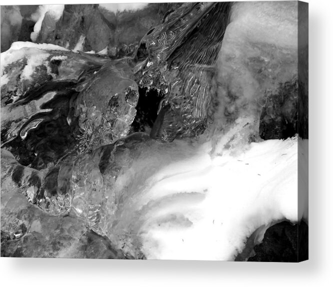 Water Acrylic Print featuring the photograph Formed ice skull by Thomas Samida