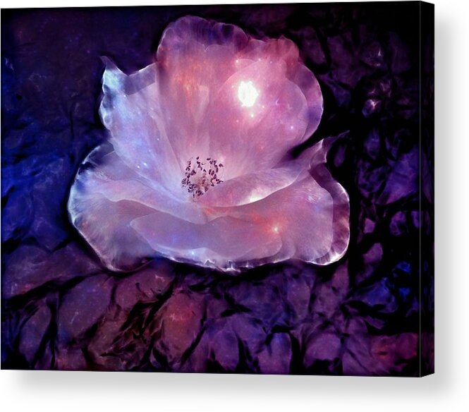 Rose Acrylic Print featuring the digital art Frozen Rose by Lilia D