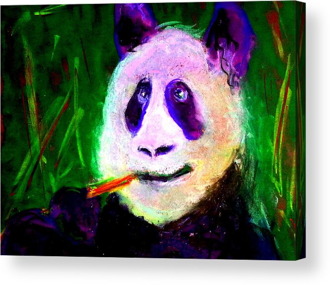 Giant Pandas Acrylic Print featuring the painting Funky Giant Panda Bamboo Dinner Art Print by Sue Jacobi