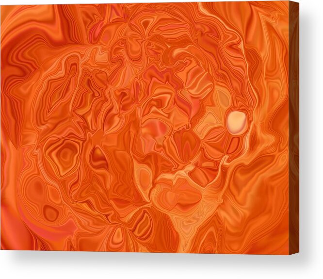 Abstract Acrylic Print featuring the digital art Gaberdine Aardvark Anomaly by Jim Williams