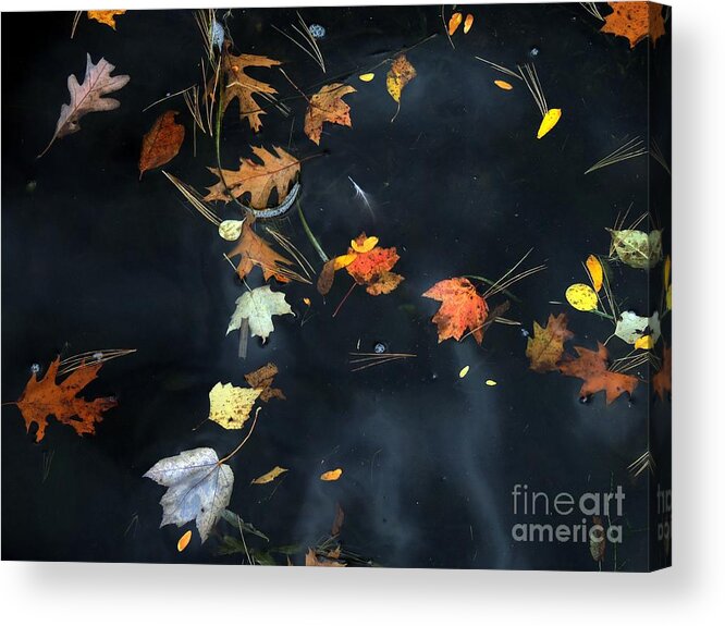 Waterscape Acrylic Print featuring the photograph Ghost Water by Marcia Lee Jones