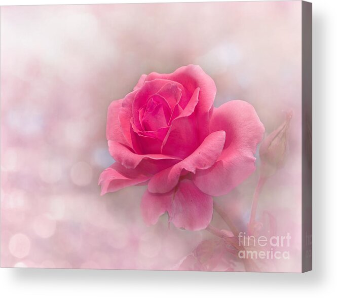 Beautiful Acrylic Print featuring the photograph Glowing In Pink by Sari ONeal