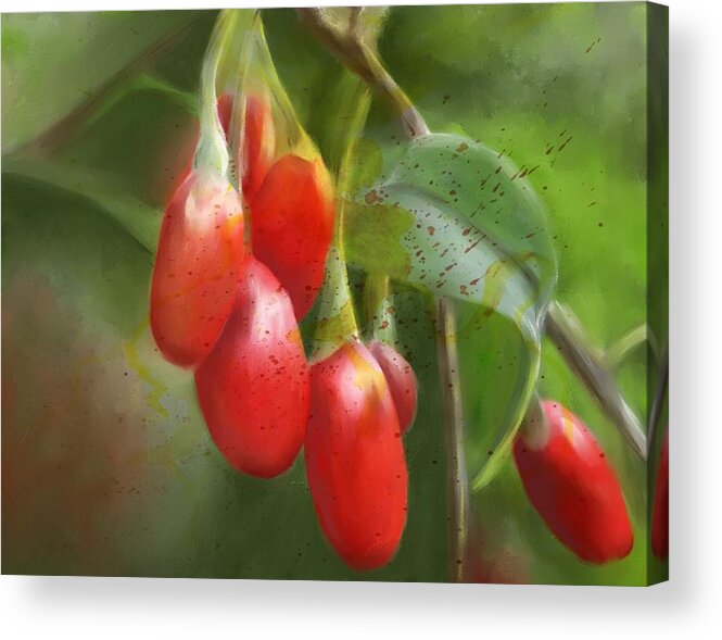 Gojo Berries Acrylic Print featuring the painting GoJo Berries by Colleen Taylor