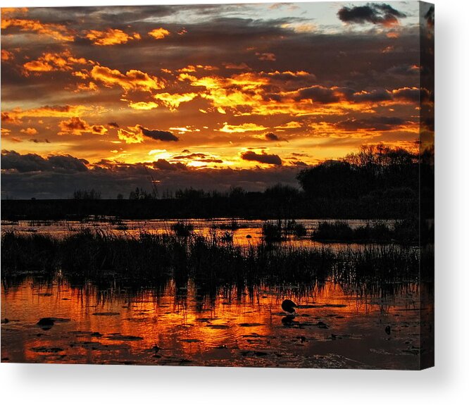 Sunset Acrylic Print featuring the photograph Golden Sunset Over The Pond by Dale Kauzlaric