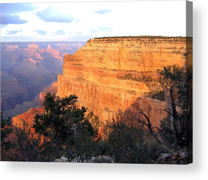 Grand Canyon 76 Acrylic Print featuring the photograph Grand Canyon 76 by Will Borden