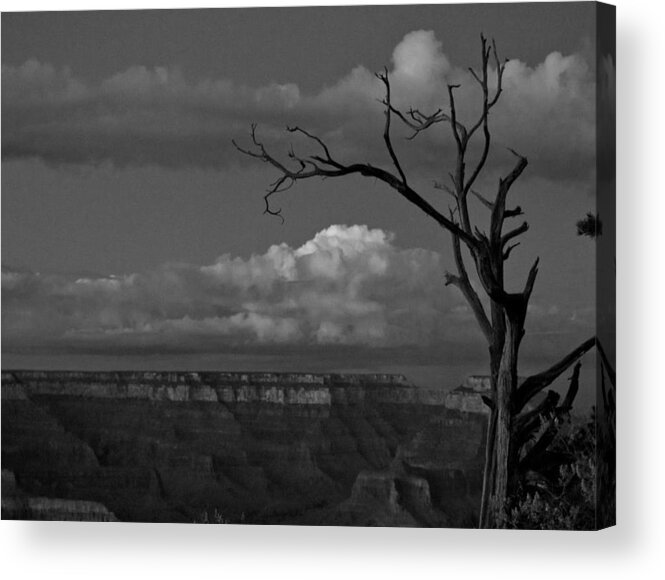 Grand Canyon Acrylic Print featuring the photograph Grand Canyon in Black and White by Kathleen Odenthal