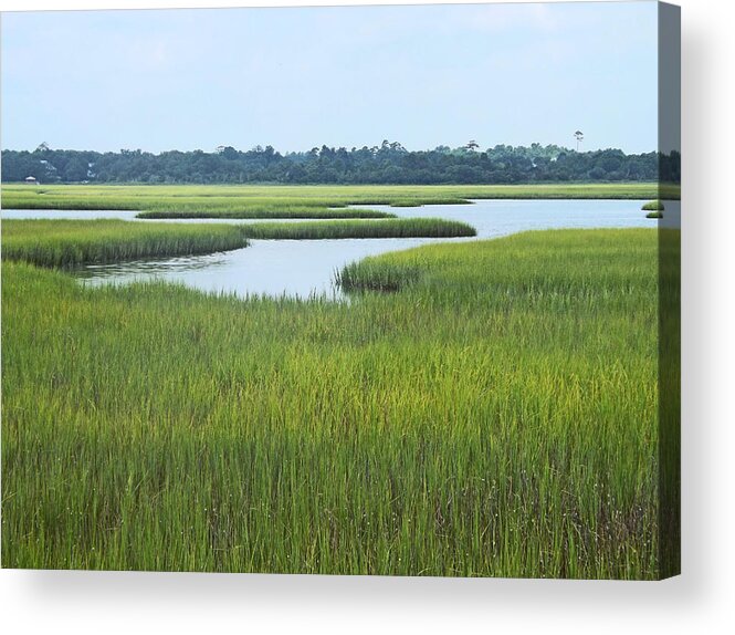 Background Acrylic Print featuring the photograph Green Channel by Bill TALICH
