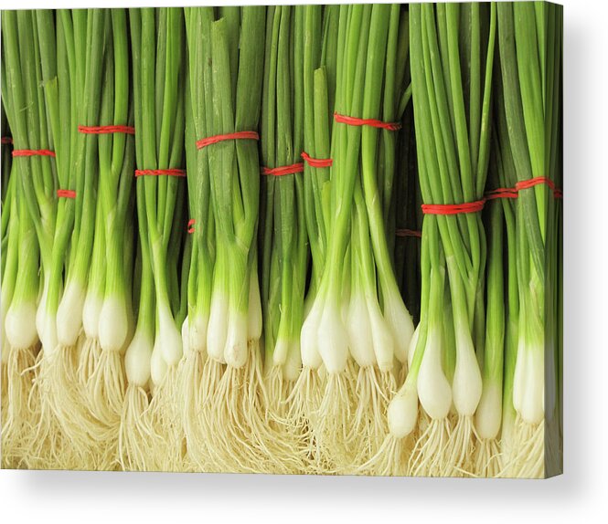 Rubber Band Acrylic Print featuring the photograph Green Onions by Francois Dion