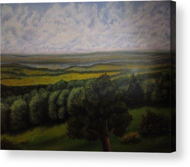 Painting Acrylic Print featuring the painting Green Valley by Dan Wagner