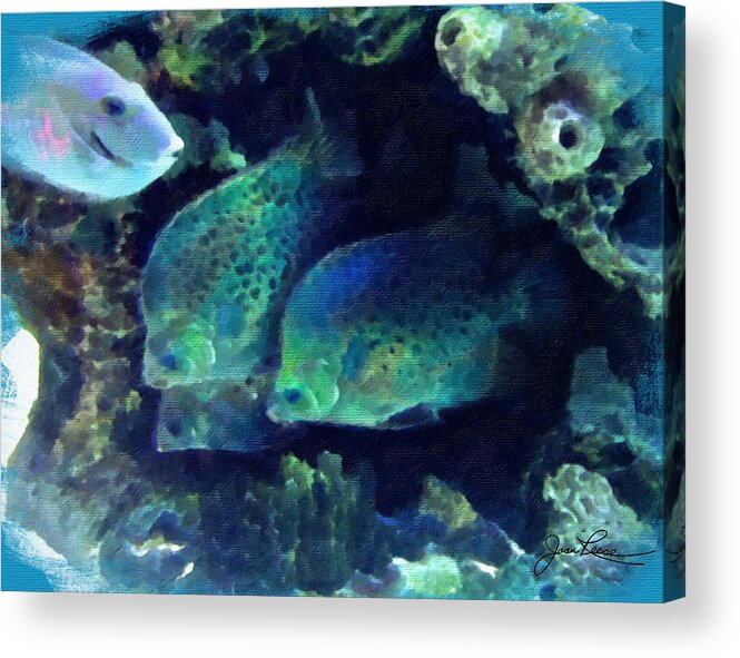 Tropical Fish Acrylic Print featuring the painting Group of Fish by Joan Reese