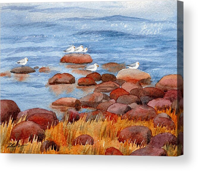 Rocky Coast Of Maine Acrylic Print featuring the painting Gulls on the Maine Coast by Janet Zeh