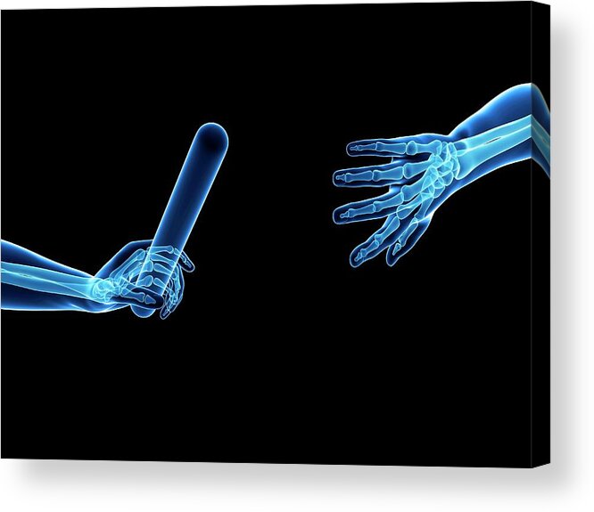 Artwork Acrylic Print featuring the photograph Hand Anatomy Of A Runner by Sebastian Kaulitzki
