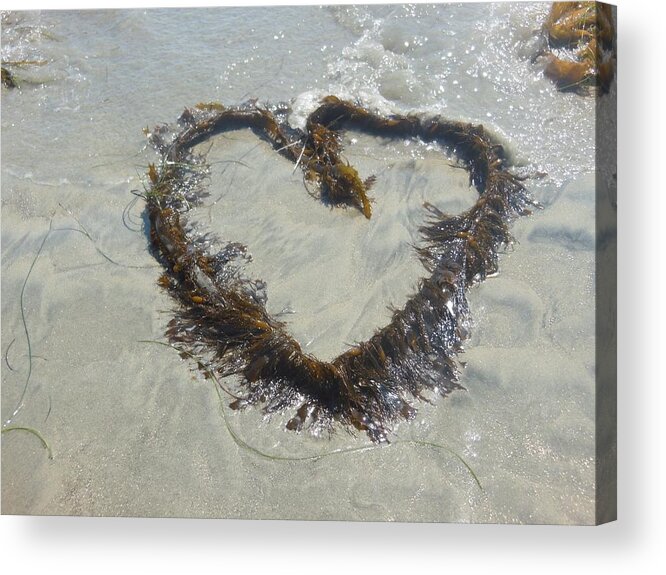 Cornado Island Acrylic Print featuring the photograph Heart of Seaweed by Angel Froggatt