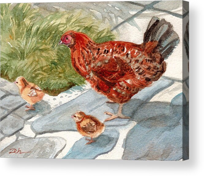 Hen And Chicks Acrylic Print featuring the painting Hen and Chicks by Janet Zeh
