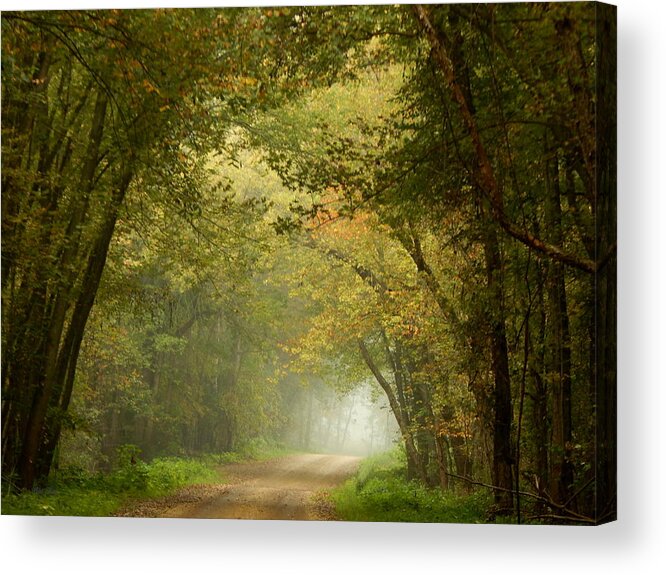Autumn Acrylic Print featuring the photograph Here I Will Abide by Wild Thing