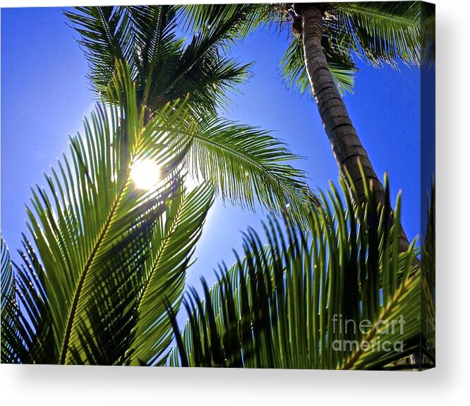 Noon Acrylic Print featuring the photograph High Noon by Christy Gendalia