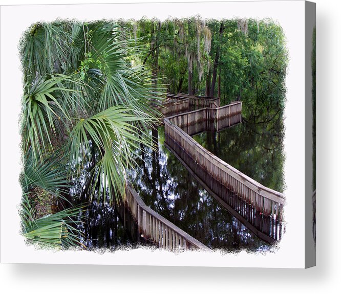 Suwannee Acrylic Print featuring the photograph HighWater Reflection by Sheri McLeroy