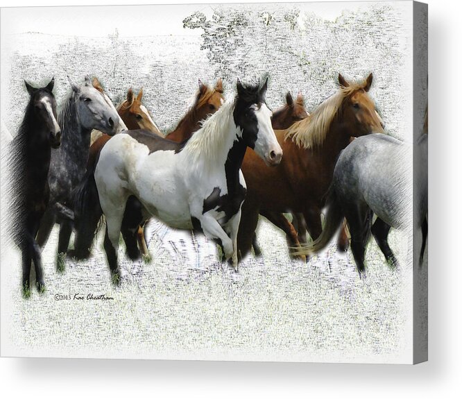 Horses Acrylic Print featuring the mixed media Horse Herd #3 by Kae Cheatham