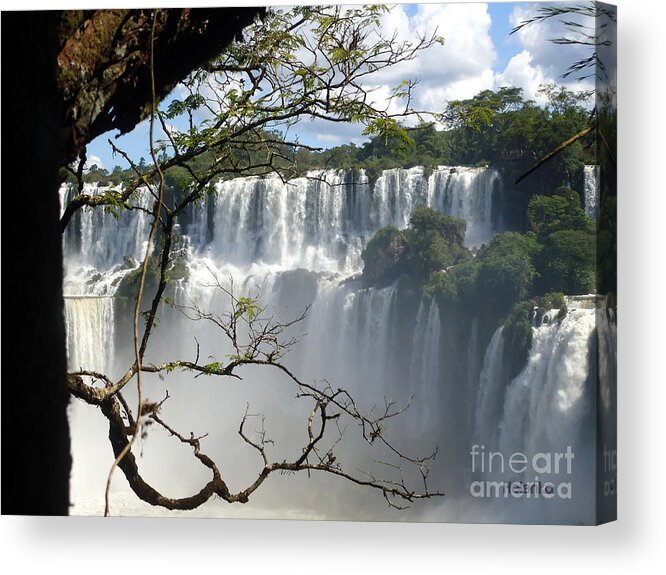Falls Acrylic Print featuring the painting Iguazu Falls II by Helena Wierzbicki