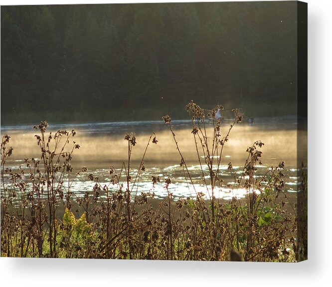 Golden Mist Acrylic Print featuring the photograph In the Golden Light by Mary Wolf