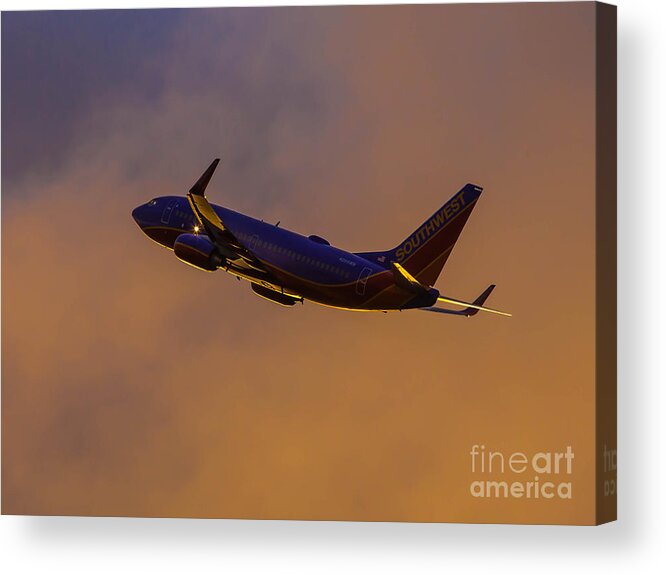 Aviation Acrylic Print featuring the photograph In Their Element by Alex Esguerra