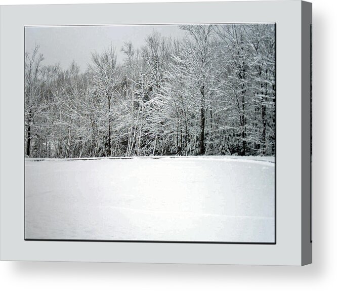 Winter Acrylic Print featuring the photograph In Winter's Light by Marie Jamieson