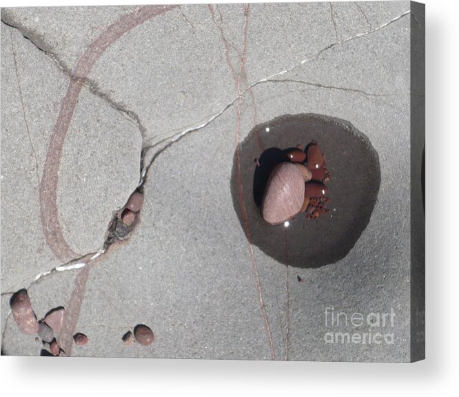Nature Acrylic Print featuring the photograph Inner Space by Jim Simak