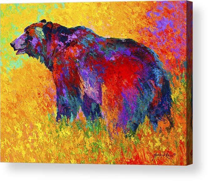Bear Acrylic Print featuring the painting Into The Wind by Marion Rose