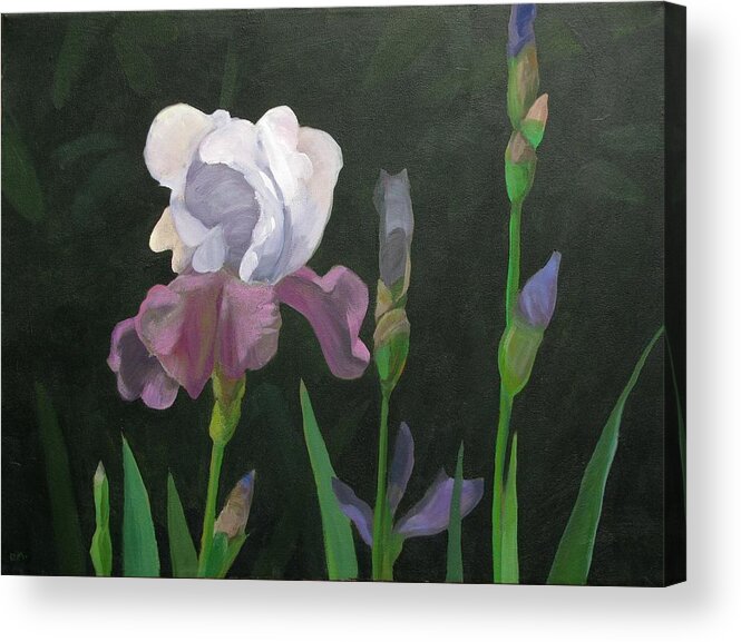 Iris Acrylic Print featuring the painting Iris on Green by Don Morgan
