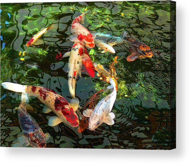 Koi Acrylic Print featuring the photograph Japanese Koi Fish Pond by Jennie Marie Schell