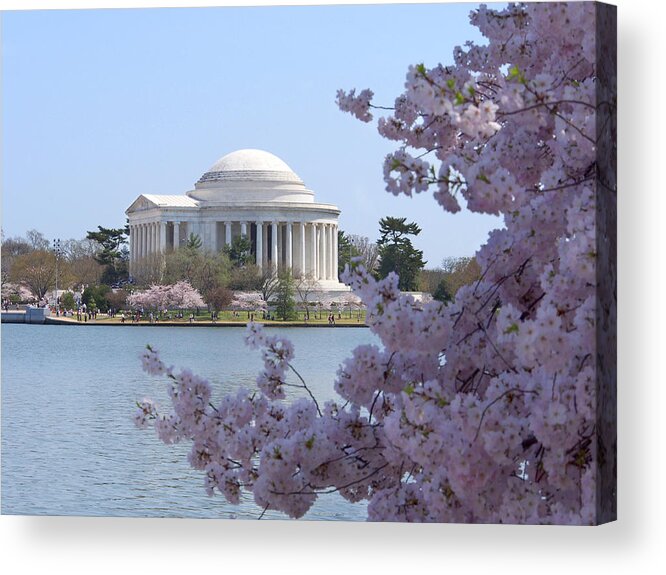 Landmarks Acrylic Print featuring the photograph Jefferson Memorial - Cherry Blossoms by Mike McGlothlen
