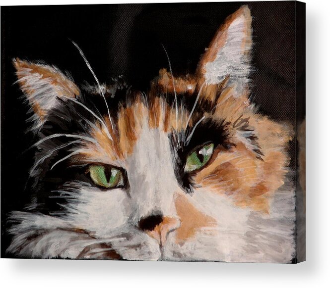Calico Cat Portrait Acrylic Print featuring the painting John by Carol Russell