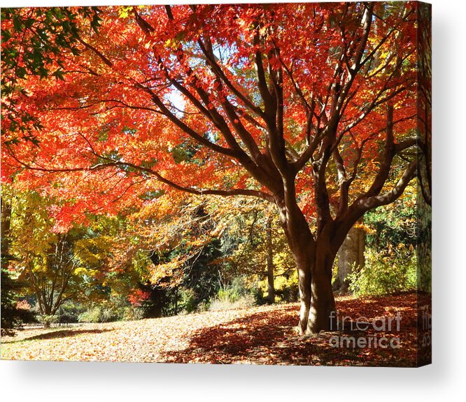 Autumn Acrylic Print featuring the photograph Just around the Bend by Anita Adams