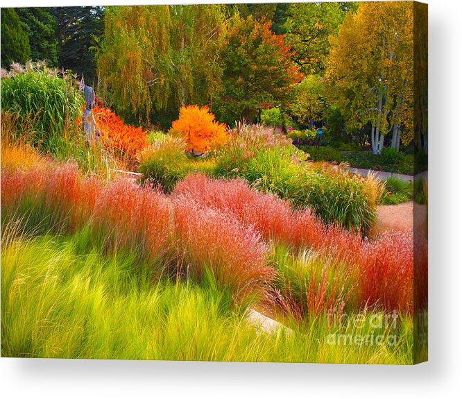 Gardens Acrylic Print featuring the photograph Just being Natural in a Garden by Joseph Mora