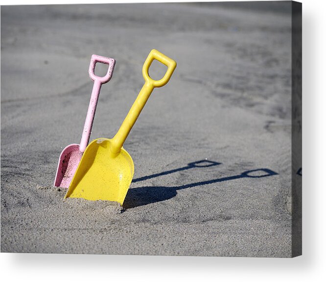Richard Reeve Acrylic Print featuring the photograph Just Diggin the Beach by Richard Reeve