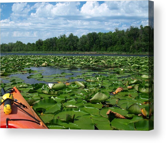 Nature Acrylic Print featuring the photograph Kayaking among the Waterlillies by James Peterson
