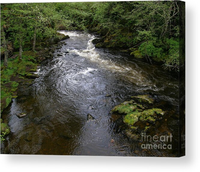 Ketchikan River Acrylic Print featuring the photograph Ketchikan River by Bev Conover