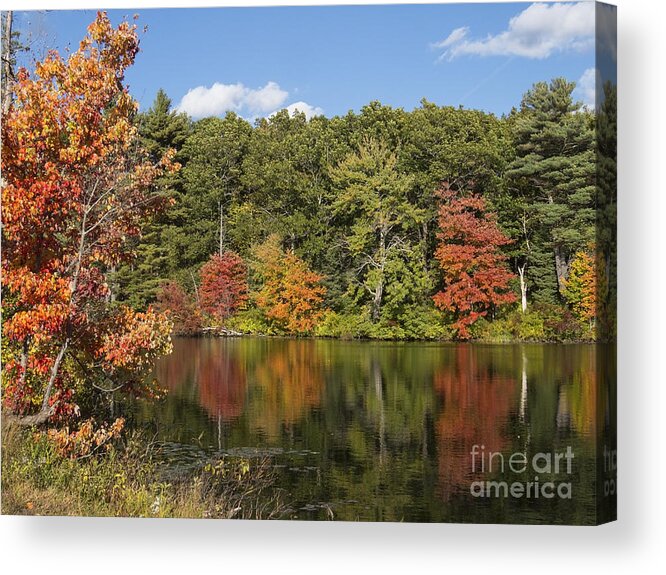 Autumn Acrylic Print featuring the photograph Killingly Autumn Reflections XII by Lili Feinstein