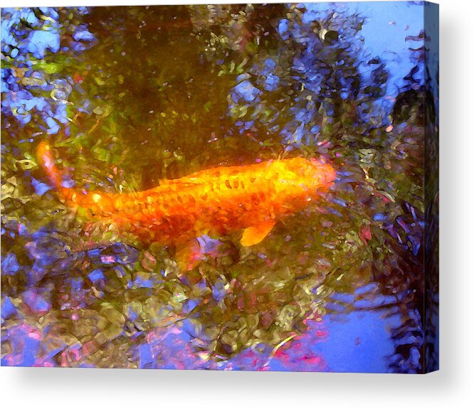 Animal Acrylic Print featuring the painting Koi Fish 2 by Amy Vangsgard