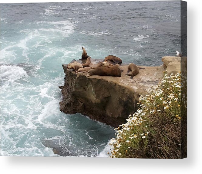 Water Acrylic Print featuring the photograph LaJolla Cove 2 by Kathy Williams-Walkup